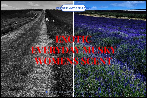 exotic everyday musky womens scent