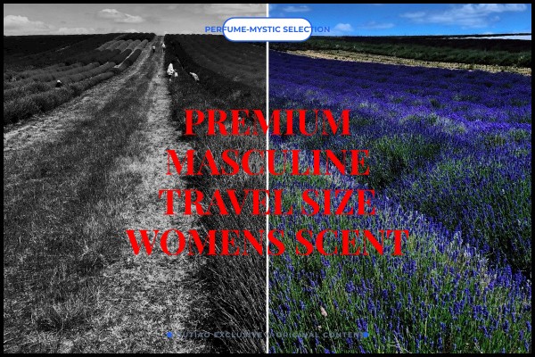 premium masculine travel size womens scent
