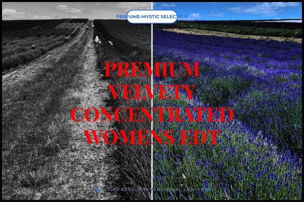 premium velvety concentrated womens edt